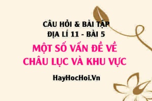 Câu hỏi và bài tập Địa lí 11 trang 23: Giải bài 1, 2, 3 trang 23 SGK Địa lí 11 bài 5 (tiết 1)
